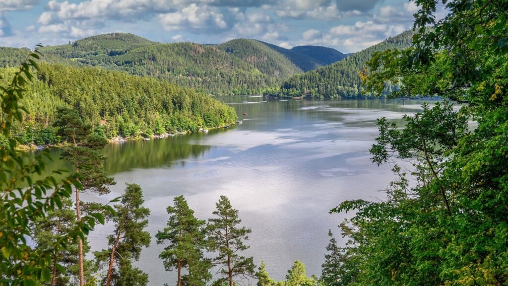 Header Monteurzimmer Arnstadt