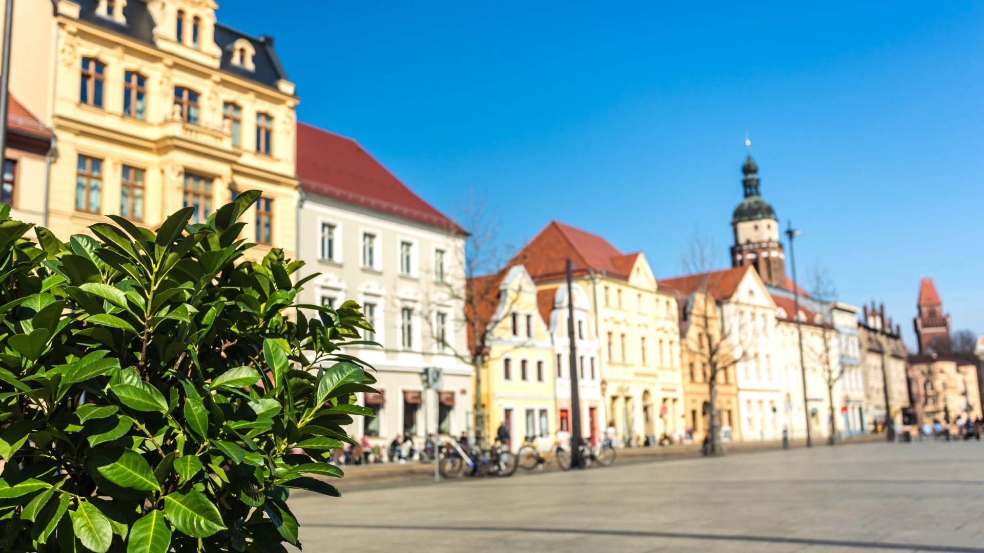 Header Monteurzimmer Cottbus