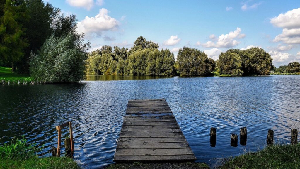 Header Monteurzimmer Salzgitter